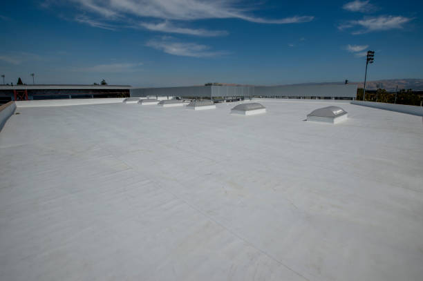 Skylights in Genesee, CO